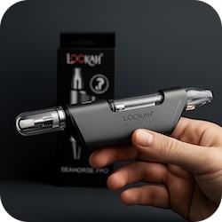 Best Dabbing Devices for 710 Solo Dabbing - Lookah Seahorse Pro Plus