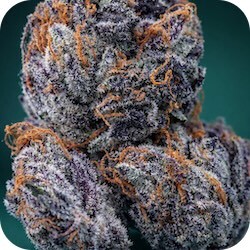 bubba kush strain thc nighttime pain relief enail blog