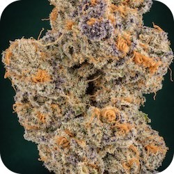 inflammatory pain weed girl scout cookies enail.com