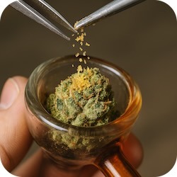 putting dabs on top of flower-different ways to dab