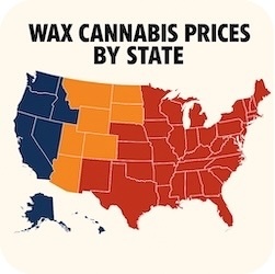 Wax Cannabis Prices By State - How Much Does a Gram of Wax Cost?