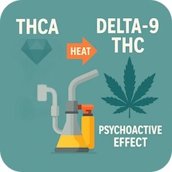 What is THCA? How Is It Different From THC? THC Diamonds